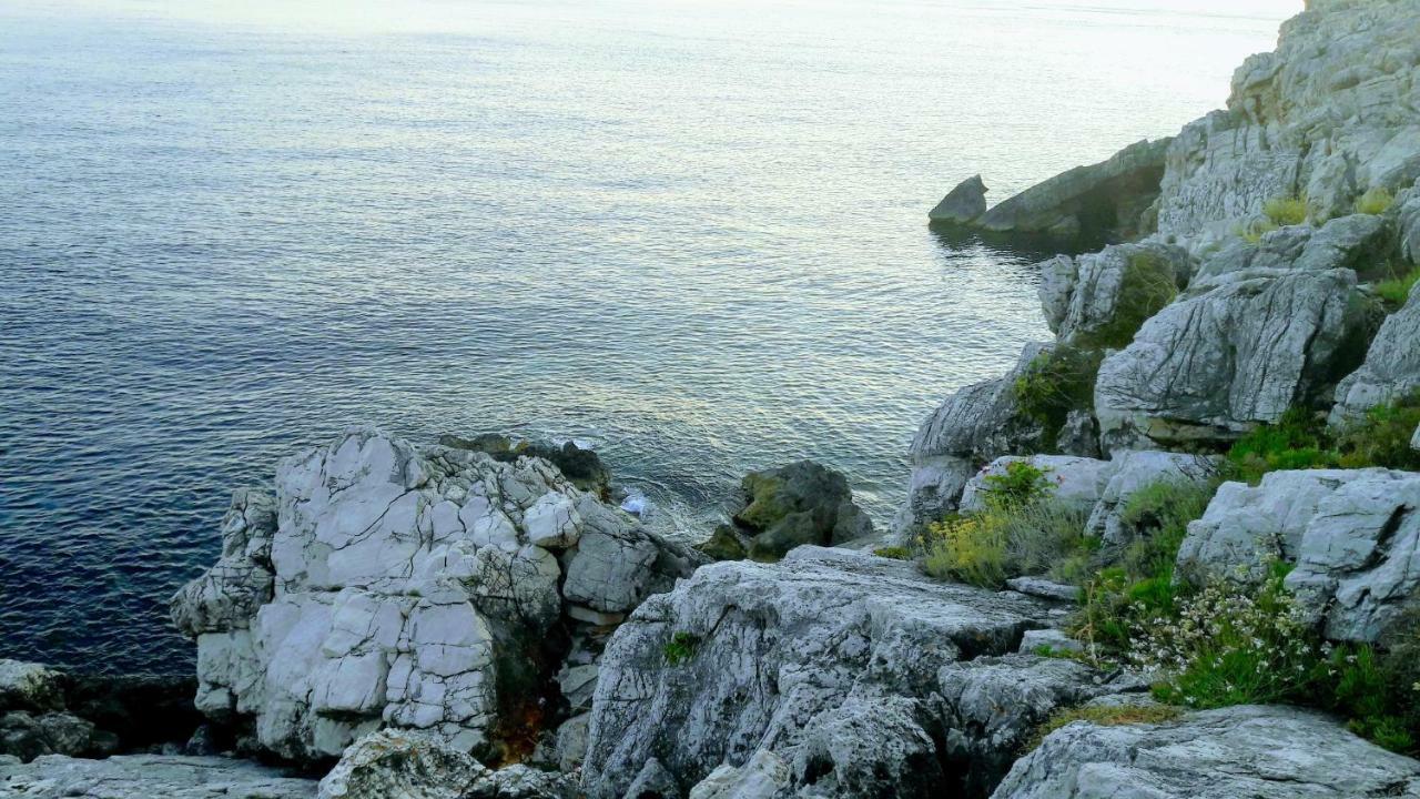 Authentic Ap For 2, Babino Polje,Mljet Apartment ภายนอก รูปภาพ